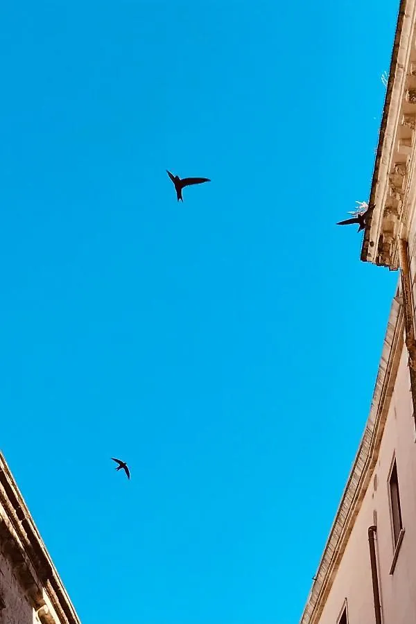B&B Via Dell'Azzurra Bari 0*,  Italy